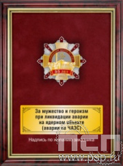 5.7.105.143. Панно с нагрудным знаком "35 лет ликвидации аварии на ЧАЭС" на бархате