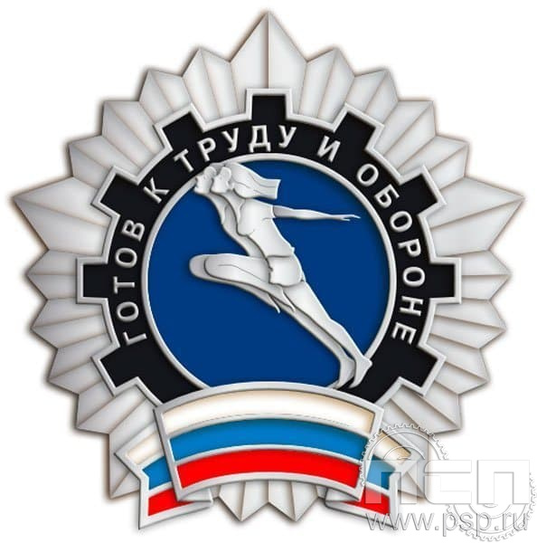 1252.0. Значок Готов к труду и обороне 2 разряд