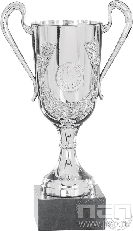 Кубок 9030B (17см)