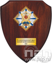 5.8.01.173 (F). Панно со знаком на деревянном щите "КРУ ФСИН России" 