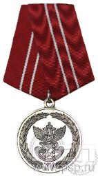 Медаль «За службу» II степени ГФС5