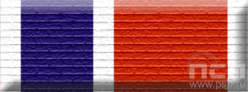 6.6.1. Планка орденская к медали «Служба экономической безопасности ФСБ» и День криптографической службы"