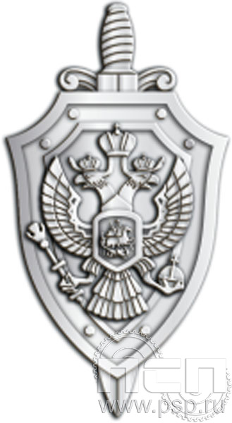 448.0(b). Значок ФСБ лацканный