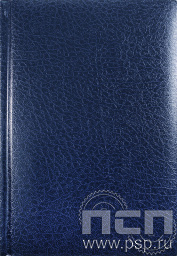 Ежедневник А5 Profile синий 123426 1.3.4.25