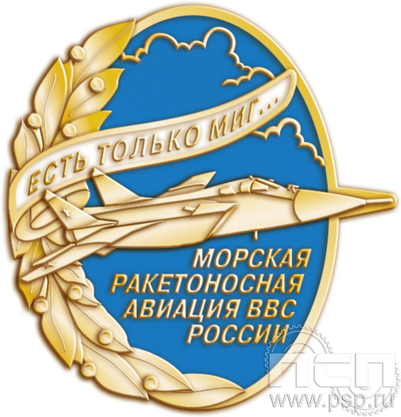 Значок "Морская ракетоносная авиация ВВС" 848.0к