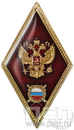 Нагрудный знак "Об окончании академии, института, высшей школы МВД" МВД3