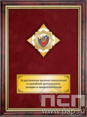 5.7.01.254. Панно со знаком "25 лет Отделы розыска ФСИН России" на бархате 