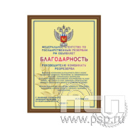 EX155 Плакетка деревянная (230х305х15мм) Росрезерв 95 лет