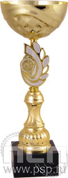 Кубок 9614C/S-T (31,5 см) D-120