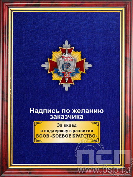 5.7.01.240. Панно с нагрудным знаком "25 лет Боевое братство" на бархате в рамке