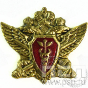 Значок «Налоговая полиция» латунь 061.0к