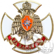 МЧС1. Нагрудный знак «За заслуги» 