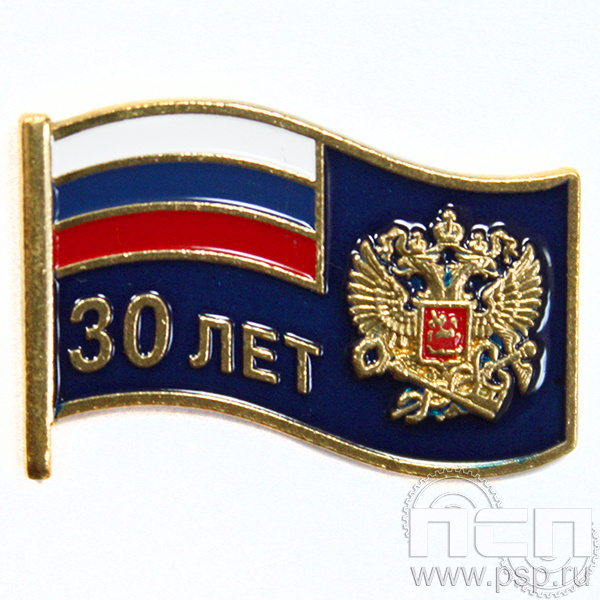 Значок «30 лет ФНС» 1836.0к