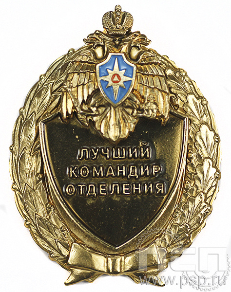 Нагрудный знак Лучший командир отделения 5.05.12к