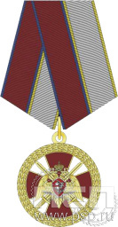 Медаль «За боевое отличие» РГ2