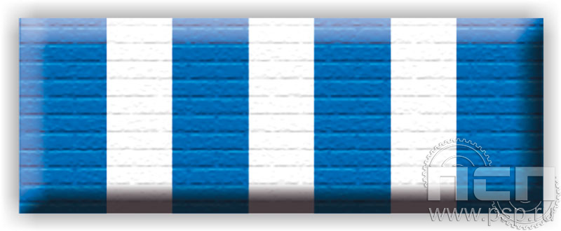 6.6.1. Планка орденская к медали "325 лет ВМФ России"