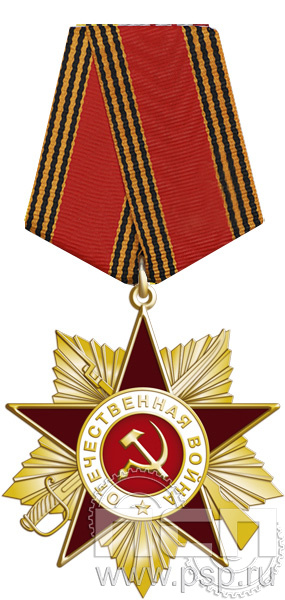 Нагрудный знак «Отечественная война» латунь 268.3.1(b)к