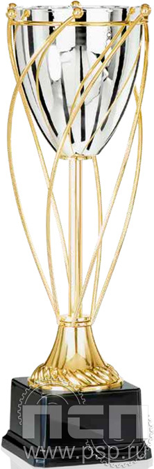 Кубок 4022B (36см) D-120