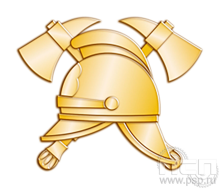 446.0. Значок "Пожарная охрана России"