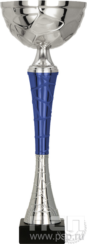 Кубок 9255G (26,5см) D-90