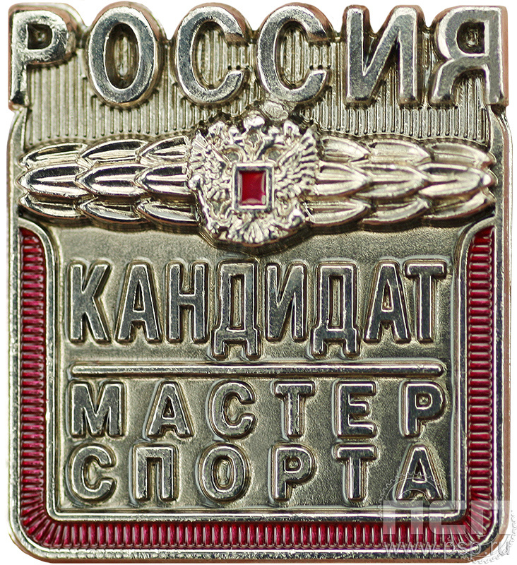 Значок КМС СРиЗ10
