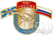 Значок "ВВС России Крылатые стражники России" 335.0к