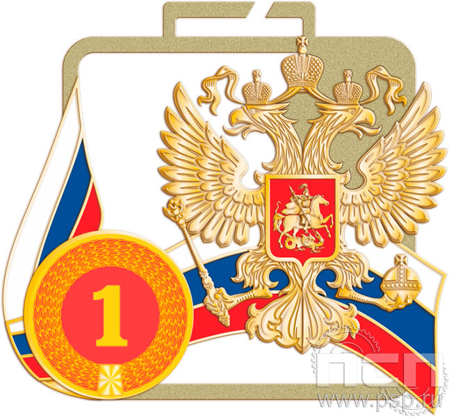 картинка МП-70х65-25-G Медаль спортивная