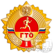 Значок ГТО золото СРиЗ1