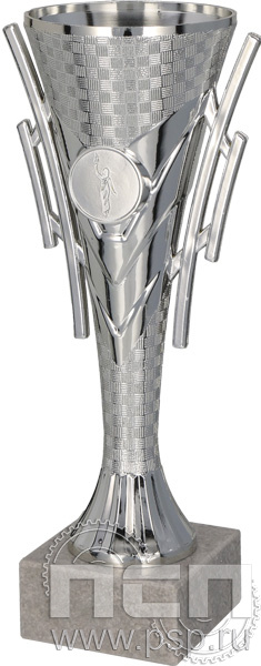 Кубок 7162C (18.5см) D-63