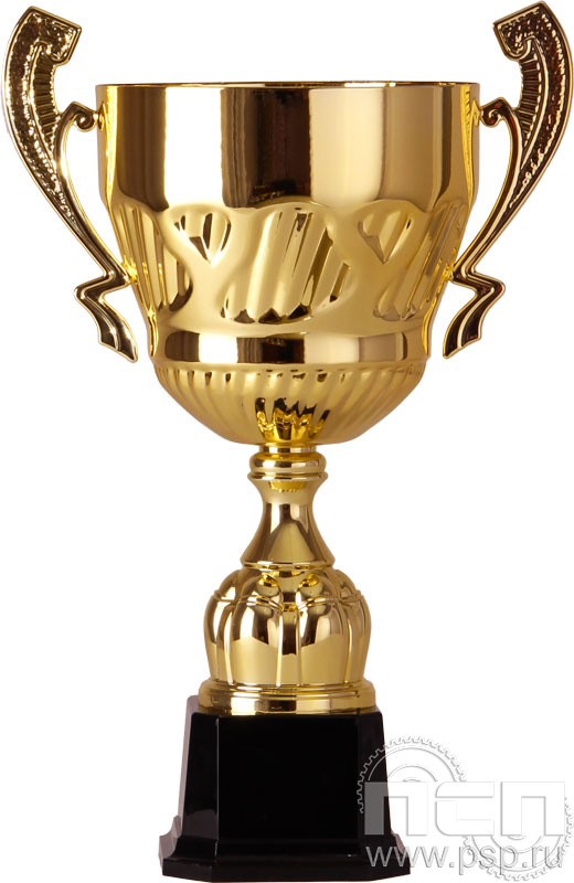 Кубок 2007D (45 см) D-200