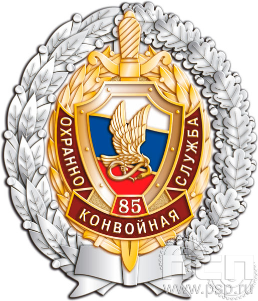 Нагрудный знак «85 лет ОКС Охранно-конвойная служба МВД РФ» 05.98к
