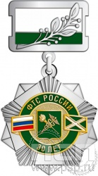 271.12.2. Нагрудный знак "30 лет ФТС России"
