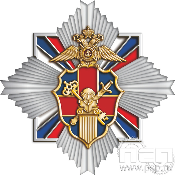 296.13. Значок "Служба тыла МВД РФ"