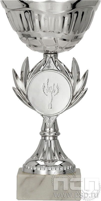 Кубок 9246C (20,5см) D-80