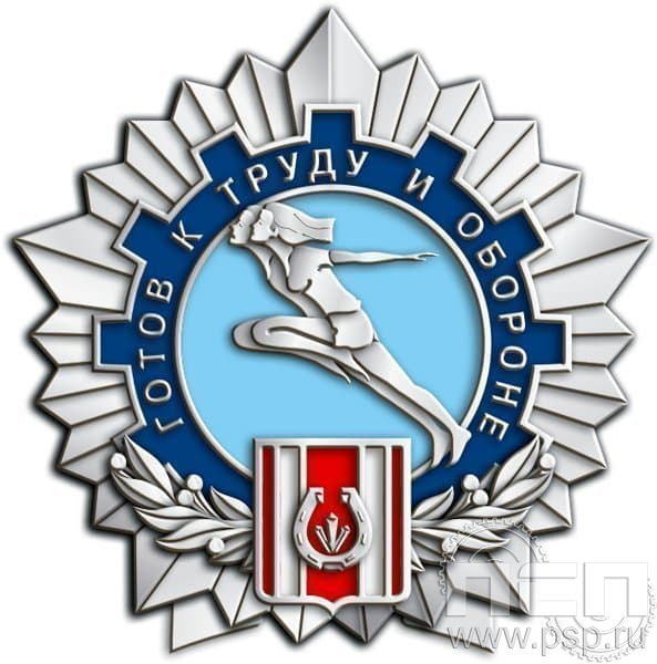1252.0. Значок Готов к труду и обороне 2 разряд