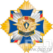 5.3(b). Нагрудный знак "110 лет Инженерно-авиационная и Штурманская службы ВВС"