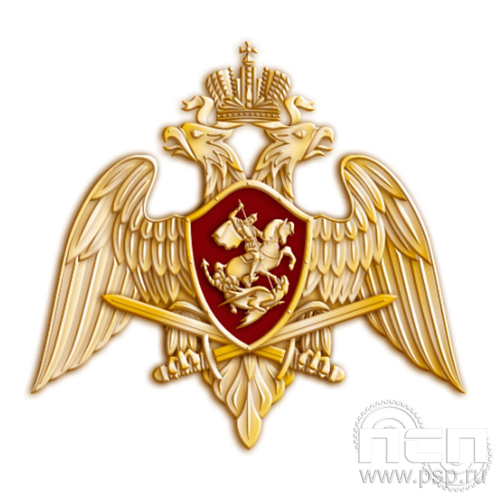 Значок "Орел Росгвардии" 1551.0к