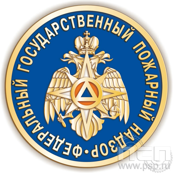157.0. Значок "95 лет Государственный пожарный надзор"