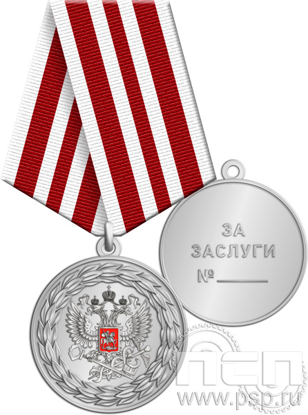 Медаль ФНС-5 «За заслуги» 