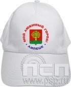 8.9.3. Бейсболка "Администрации муниципальных образований России"