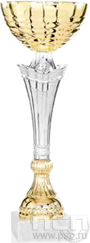 Кубок 9048C (24см) D-80