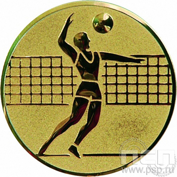 Жетон Волейбол (муж) (д.50) A6/G