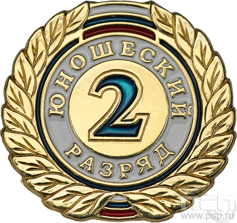 Значок 2 разряд юношеский СРиЗ8