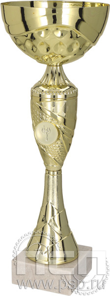 Кубок 8262G (20см) D-80