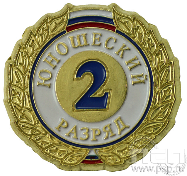 Значок II разряд юношеский ZRJ-II