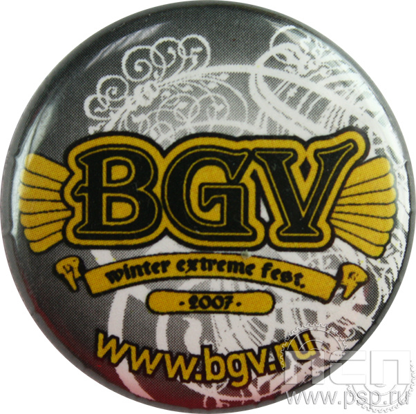 Экспресс-значок «DGV 2007» D25