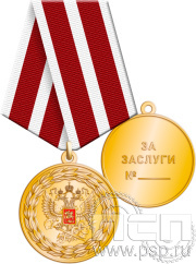 Медаль ФНС-4 «За заслуги» 