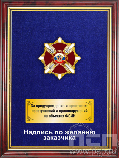 5.7.105.156. Панно с нагрудным знаком "За ратный труд ФСИН России" на бархате в рамке