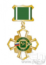 355.10.5. Нагрудный знак "30 лет ФТС России"