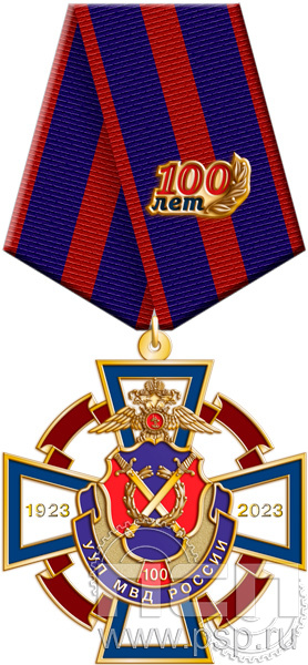 222.89.1. Нагрудный знак "100 лет УУП МВД России"